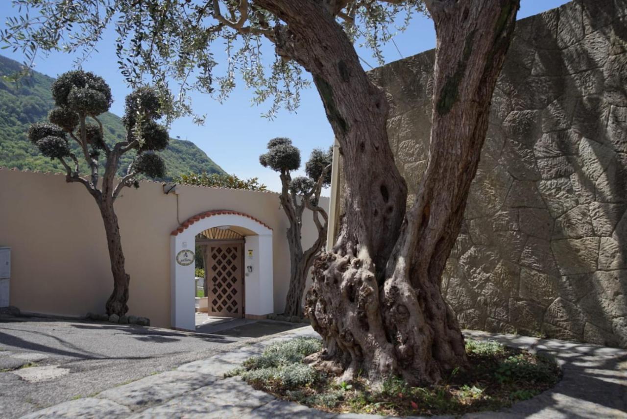Villa Antonietta Ischia Luaran gambar